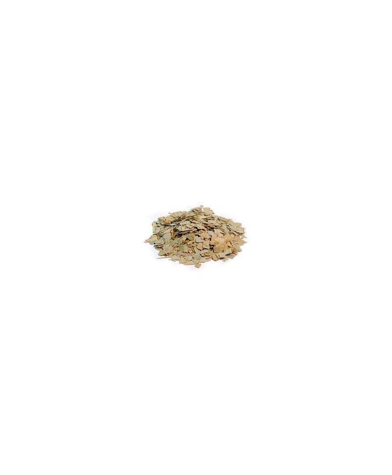 EUCALYPTUS FEUILLE ENTIERE BIO VRAC