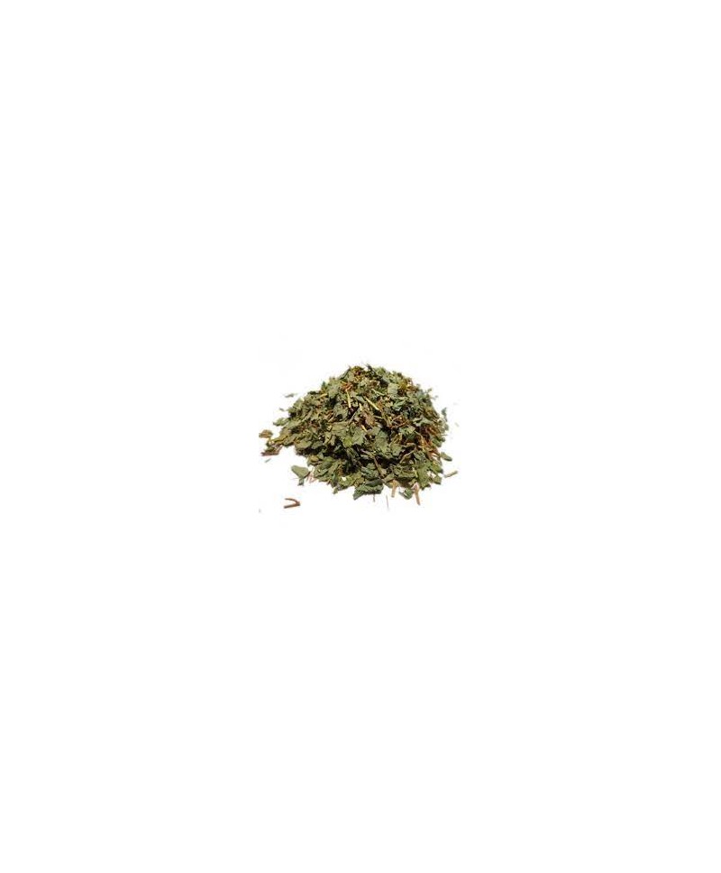 DESMODIUM FEUILLE COUPEE VRAC