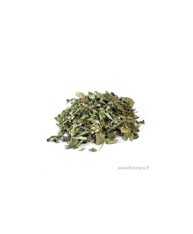 ORIGAN FEUILLES BIO VRAC