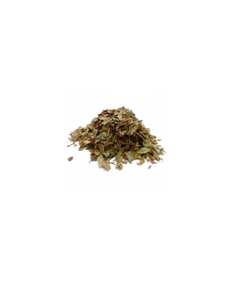 MYRTILLE / AIRELLE BIO VRAC