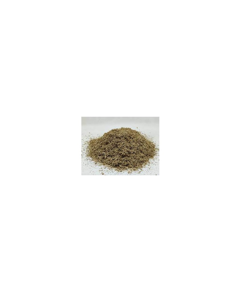 TILLEUL AUBIER ROUGE BIO VRAC